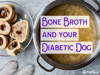 ​Bone Broth and Your Diabetic Dog