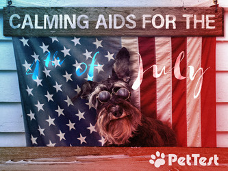 Calming Aids for the Fourth of July