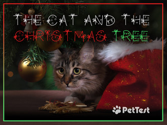 The Cat and the Christmas Tree