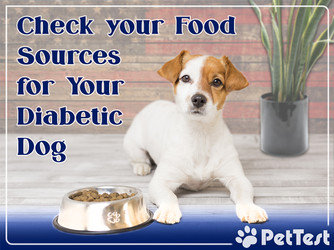 ​Check your Food Sources for Your Diabetic Dog