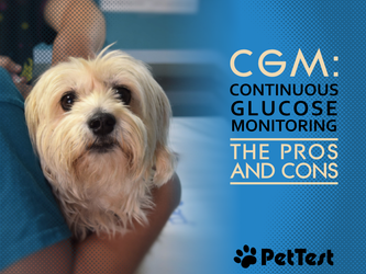 CGM: Continuous Glucose Monitoring – The Pros and Cons CGM: Continuous Glucose Monitoring – The Pros and Cons