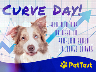 Curve Day! How and Why We Need to Perform Blood Glucose Curves Curve Day! How and Why We Need to Perform Blood Glucose Curves