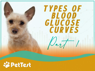 ​Types of Blood Glucose Curves, Part 1