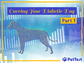 ​Curving Your Diabetic Dog Part 1