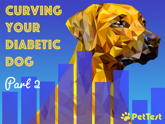 ​Curving Your Diabetic Dog Part 2