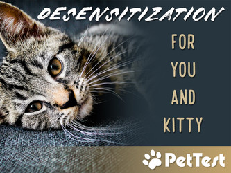 ​Desensitization for You and Kitty