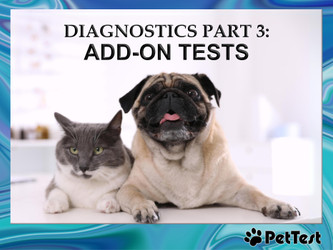 Diagnostics Part 3: Add-On Tests