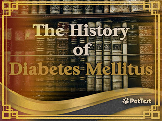 The History of Diabetes Mellitus