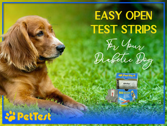 ​Easy Open Strips For Your Diabetic Dog
