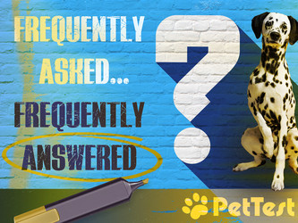 ​Frequently Asked, Frequently Answered