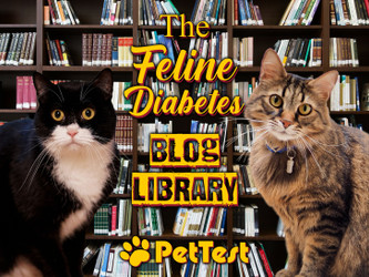 The Feline Diabetes Blog Library 