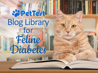 Blog Library for Feline Diabetes
