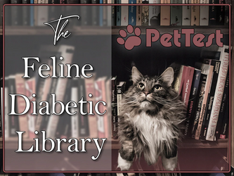 Feline Diabetes Blog Library