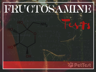 Fructosamine Tests Fructosamine Tests