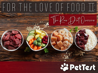 ​For The Love Of Food II: The Raw Diet Overview