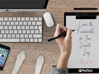 ​Learn the Fundamentals for Your Diabetic Dog: Part 2