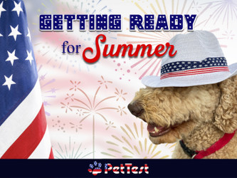 ​Getting Ready for Summer