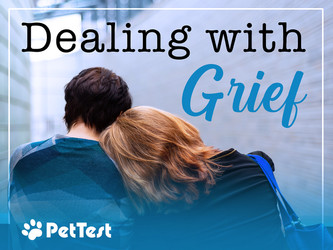 Dealing with Grief