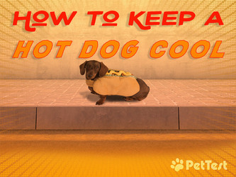 How to Keep a Hot Dog Cool How to Keep a Hot Dog Cool