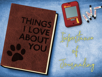 The Importance of Journaling The Importance of Journaling
