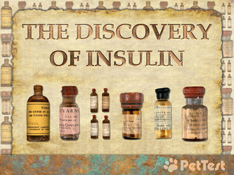 The Discovery of Insulin
