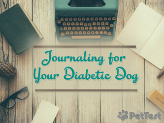 Journaling for Your Diabetic Dog