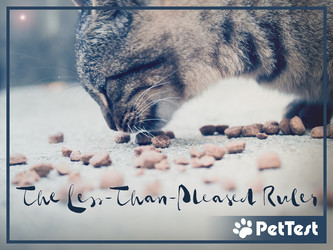 The Less-Than-Pleased Ruler 