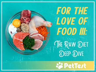 ​For The Love Of Food III: The Raw Diet Deep Dive