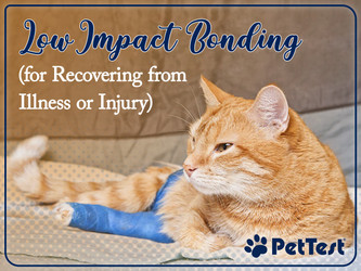 Low-Impact Bonding (for Recovering from Illness or Injury)