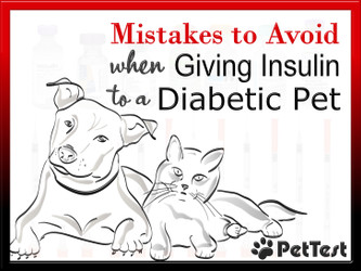 ​Mistakes to Avoid When Giving Insulin to a Diabetic Pet