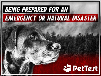 Being Prepared for an Emergency or Natural Disaster