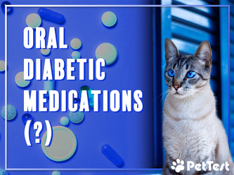 Oral Diabetic Medications Oral Diabetic Medications