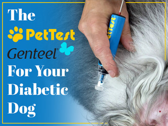 ​The PetTest Genteel For Your Diabetic Dog
