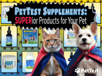 PetTest Supplements: SUPERior Products for Your Pet PetTest Supplements: SUPERior Products for Your Pet