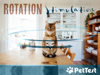 Rotation Stimulation Rotation Stimulation