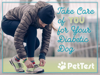 Take Care of You for Your Diabetic Dog