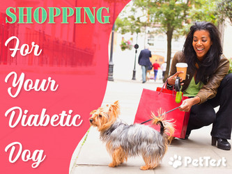 Shopping For Your Diabetic Dog