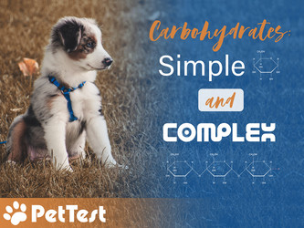 Carbohydrates - Simple and Complex