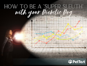 ​How to be a “Super Sleuth” with your Diabetic Dog