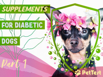Supplements for Diabetic Dogs: Part 1
