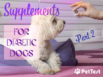 Supplements for Diabetic Dogs: Part 2
