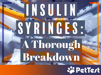 Insulin Syringes: A Thorough Breakdown