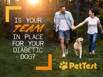 ​Is Your Team In Place For Your Diabetic Dog?