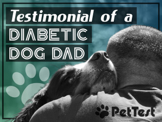 Testimonial of a Diabetic Dog Dad