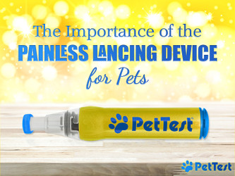The Importance of The Painless Lancing Device for Pets