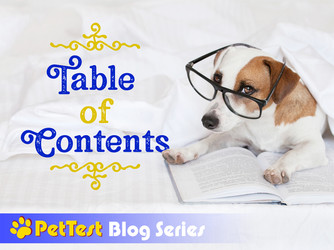 Table Of Contents Table Of Contents