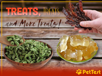 Treats, Treats and More Treats! Treats, Treats and More Treats!