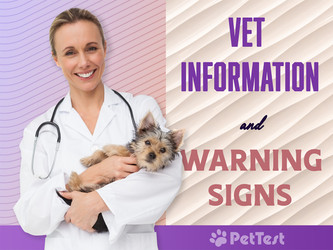Vet Information and Warning Signs