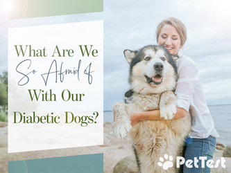 What Are We So Afraid of With Our Diabetic Dogs? What Are We So Afraid of With Our Diabetic Dogs?