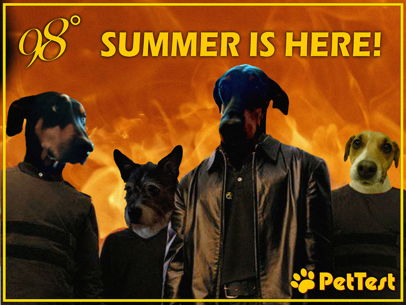 Summer is Here!
